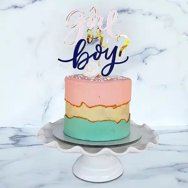 Baby Gender Reveal Cake